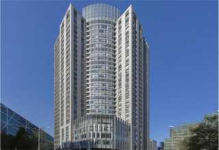 嘉興野生灰樹花貨源